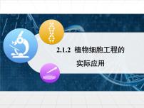 高中生物人教版 (新课标)选修3《现代生物科技专题》植物细胞工程的实际应用授课ppt课件