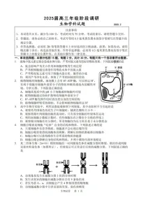 江苏省苏州中学、海门中学、姜堰中学、淮阴中学四校2025届高三2月联考-生物试题(无答案)