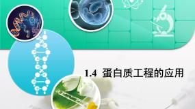 人教版 (新课标)选修3《现代生物科技专题》蛋白质工程的崛起复习ppt课件