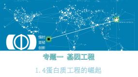 生物选修3《现代生物科技专题》蛋白质工程的崛起课前预习ppt课件