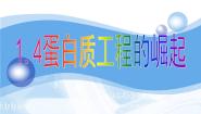 高中生物人教版 (新课标)选修3《现代生物科技专题》蛋白质工程的崛起课前预习ppt课件