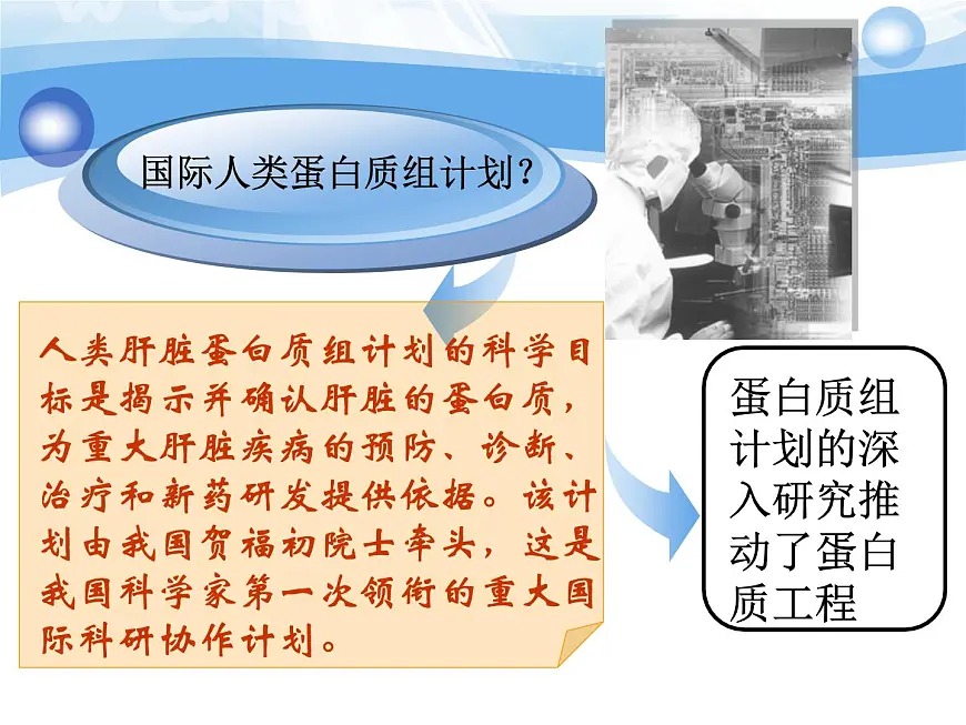 人教版 (新课标)高中生物选修3 1-1.4《蛋白质工程的崛起》课件第5页