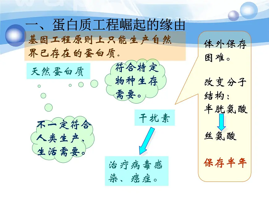 人教版 (新课标)高中生物选修3 1-1.4《蛋白质工程的崛起》课件第6页