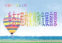 高中生物人教版 (新课标)选修3《现代生物科技专题》生态工程的实例和发展前景教课内容ppt课件