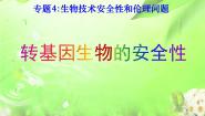 高中生物人教版 (新课标)选修3《现代生物科技专题》转基因生物的安全性教学演示课件ppt