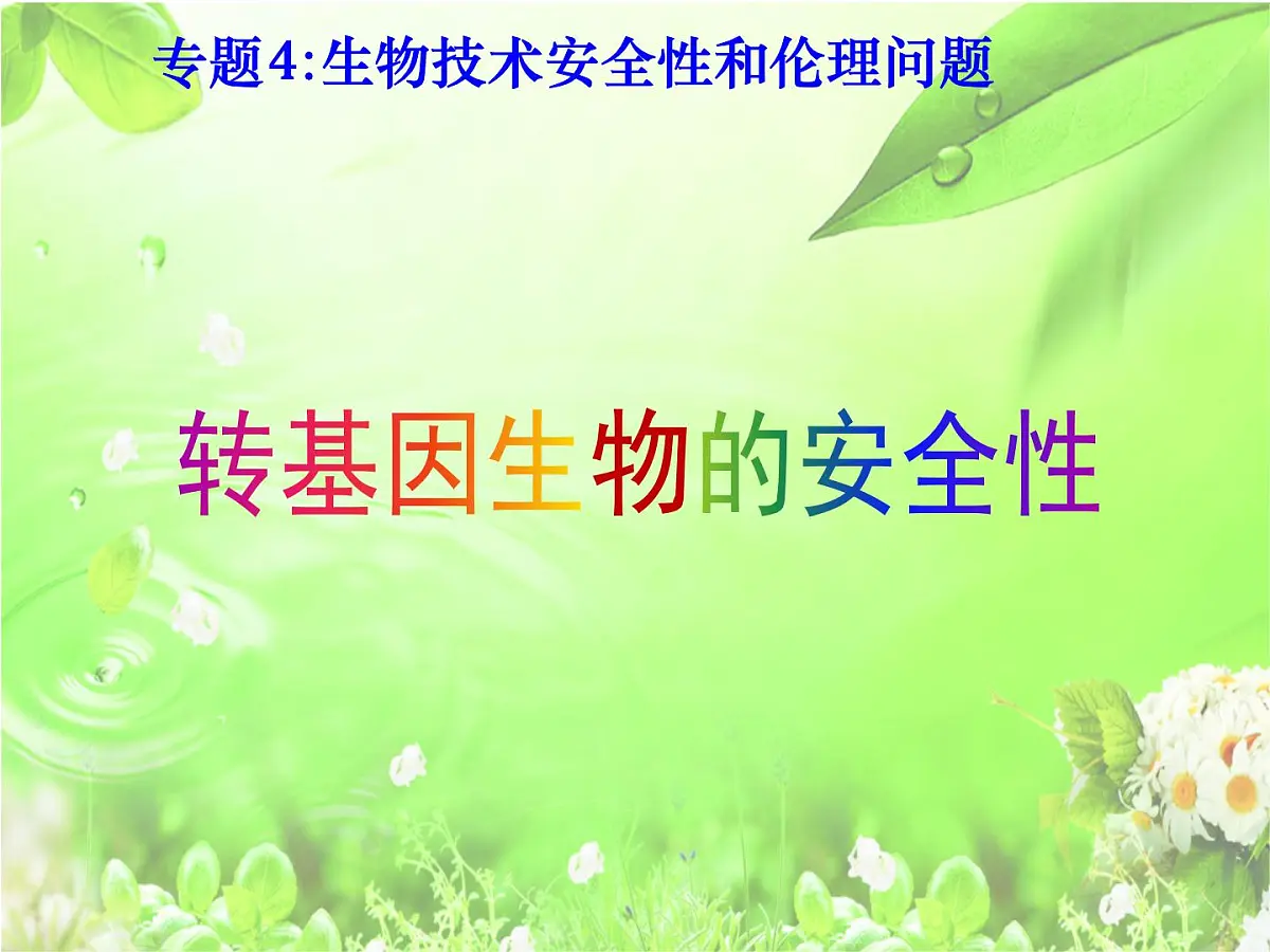 人教版 (新课标)高中生物选修3 4.1《转基因生物的安全性》课件第4页