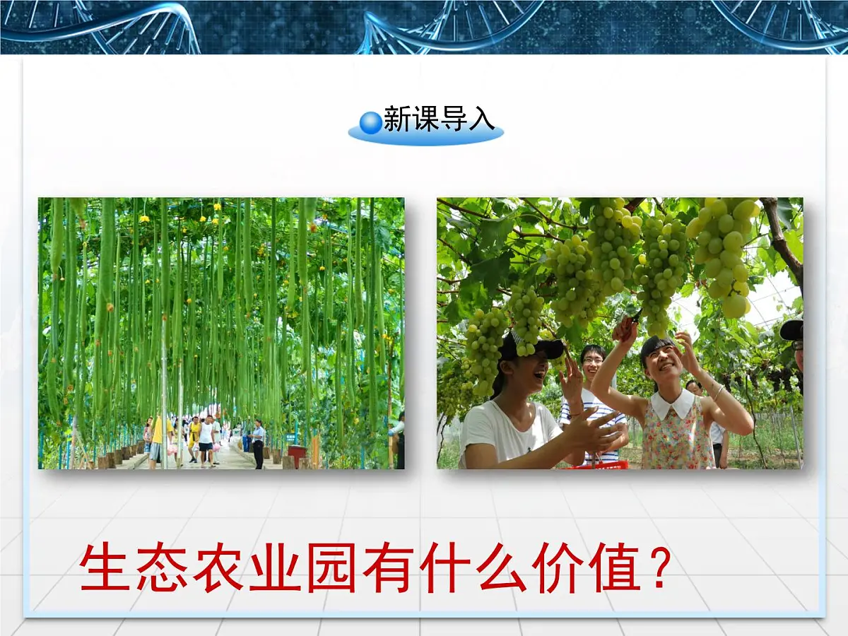 人教版 (新课标)高中生物选修3 5.2《生态工程的实例和发展前景》课件第2页
