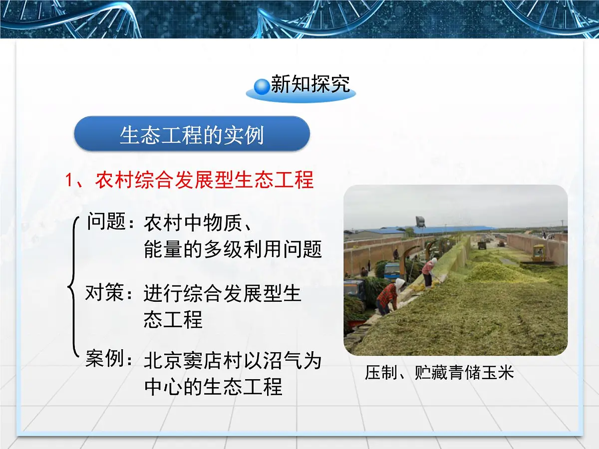 人教版 (新课标)高中生物选修3 5.2《生态工程的实例和发展前景》课件第4页