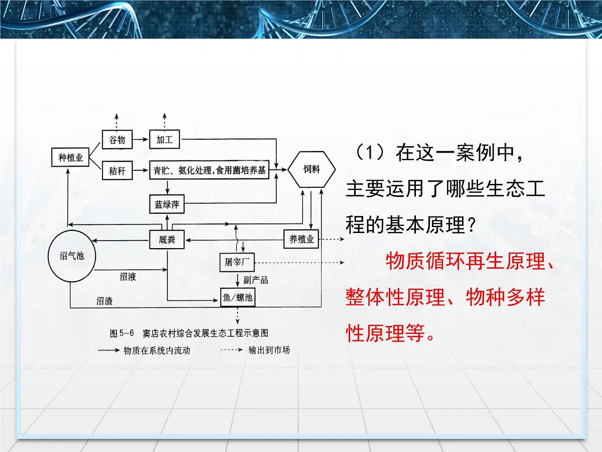 人教版 (新课标)高中生物选修3 5.2《生态工程的实例和发展前景》课件第5页