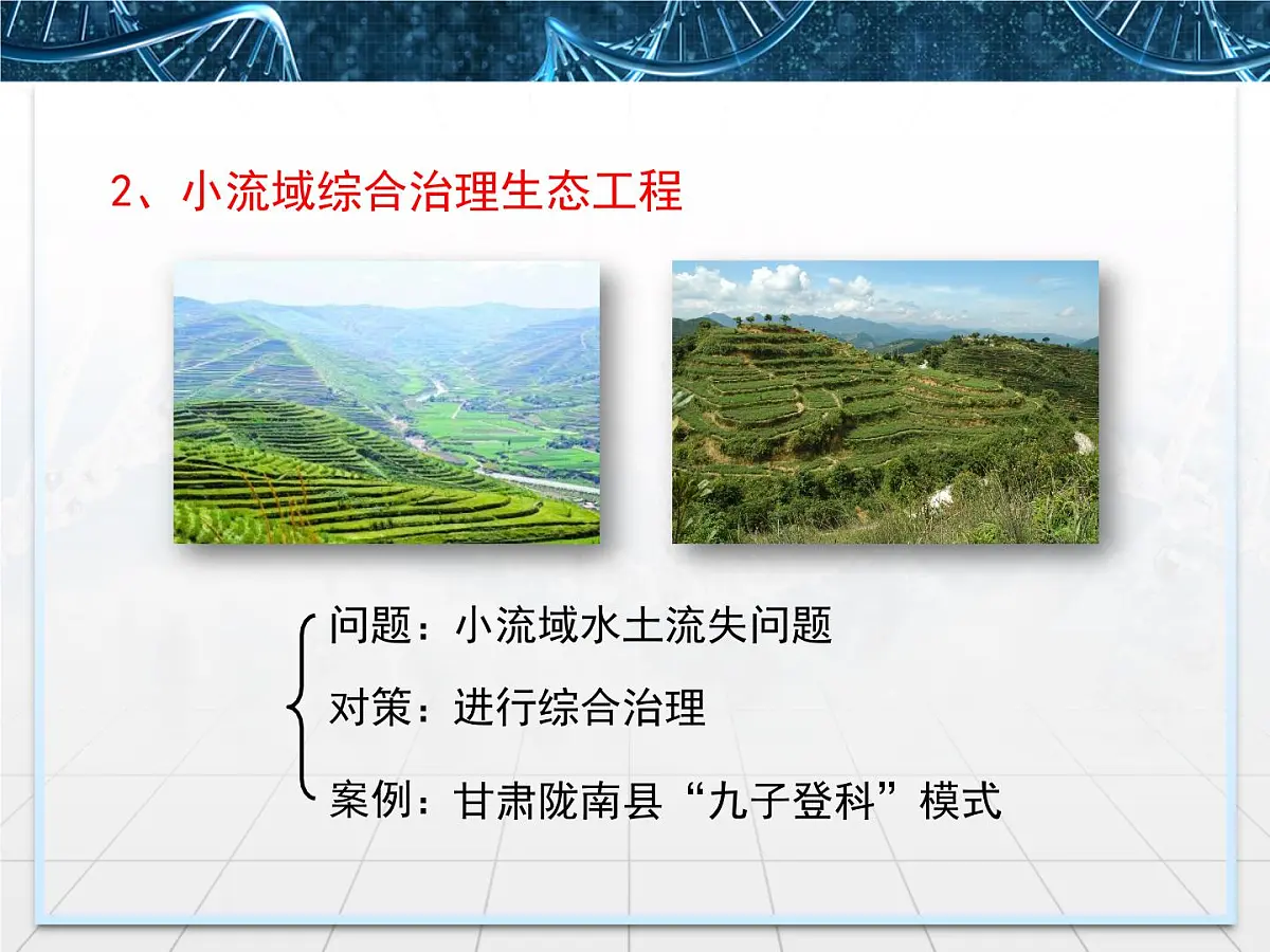 人教版 (新课标)高中生物选修3 5.2《生态工程的实例和发展前景》课件第7页