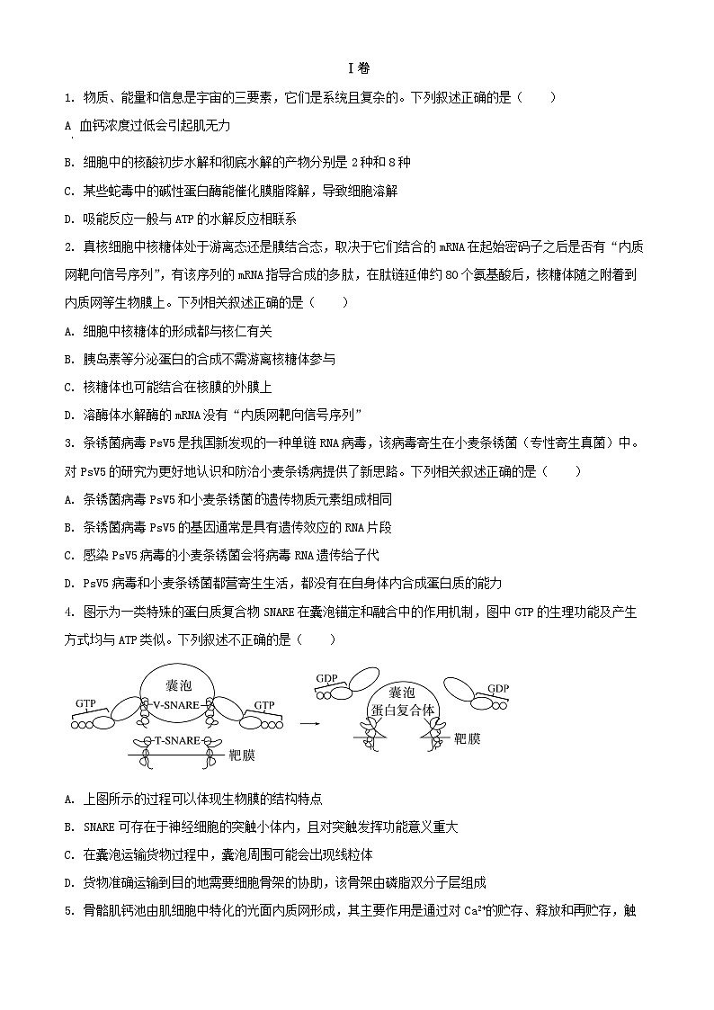 天津市2024_2025学年高三生物上学期10月月考试题第1页