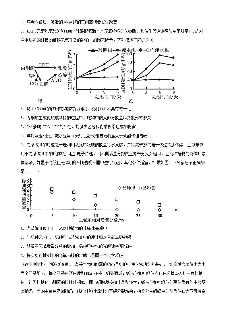 天津市2024_2025学年高三生物上学期10月月考试题第3页