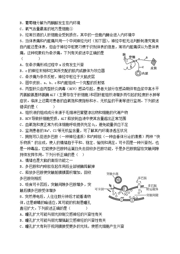 天津市静海区2024_2025学年高二生物上学期10月月考试题第2页