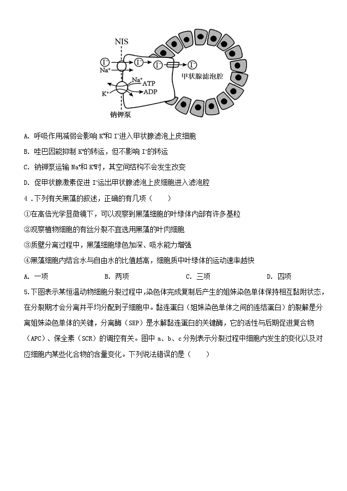 云南省玉溪市2024_2025学年高三生物上学期期中测试试题第2页
