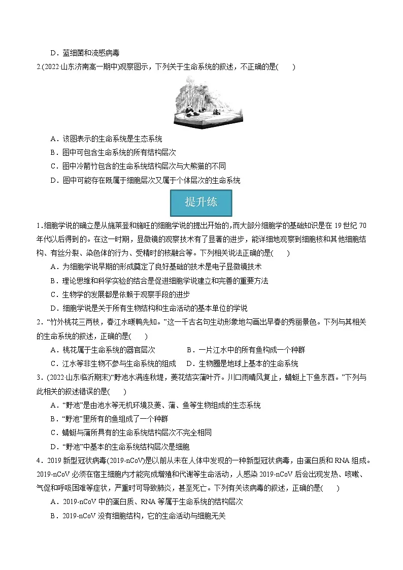 【分层练习 无答案】人教版高中生物必修1 1-1《 细胞是生命活动的基本单位》第3页