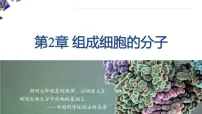 高中人教版 (2019)细胞中的糖类和脂质授课ppt课件