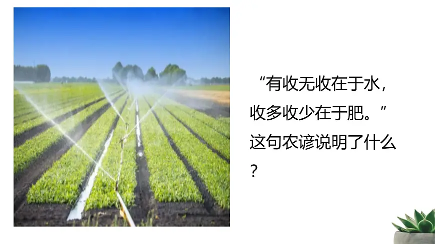 人教版高中生物必修1 2-2《细胞中的无机物》教学课件第1页
