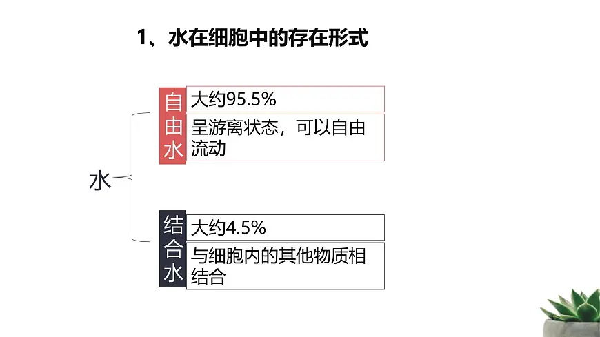 人教版高中生物必修1 2-2《细胞中的无机物》教学课件第7页