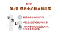 生物人教版 (2019)细胞中的糖类和脂质教学课件ppt
