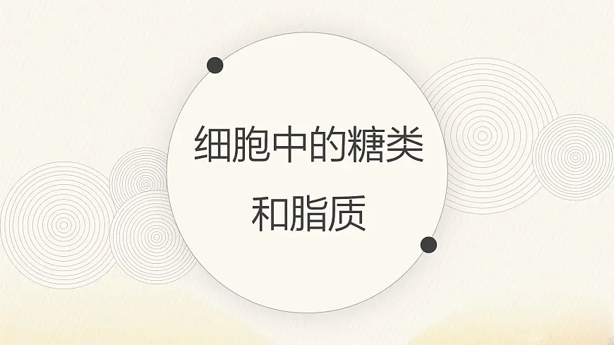 人教版高中生物必修1 2-3《细胞中的糖类和脂质》课件第1页
