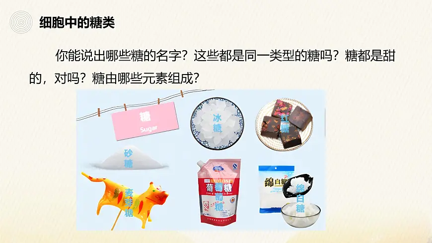 人教版高中生物必修1 2-3《细胞中的糖类和脂质》课件第6页