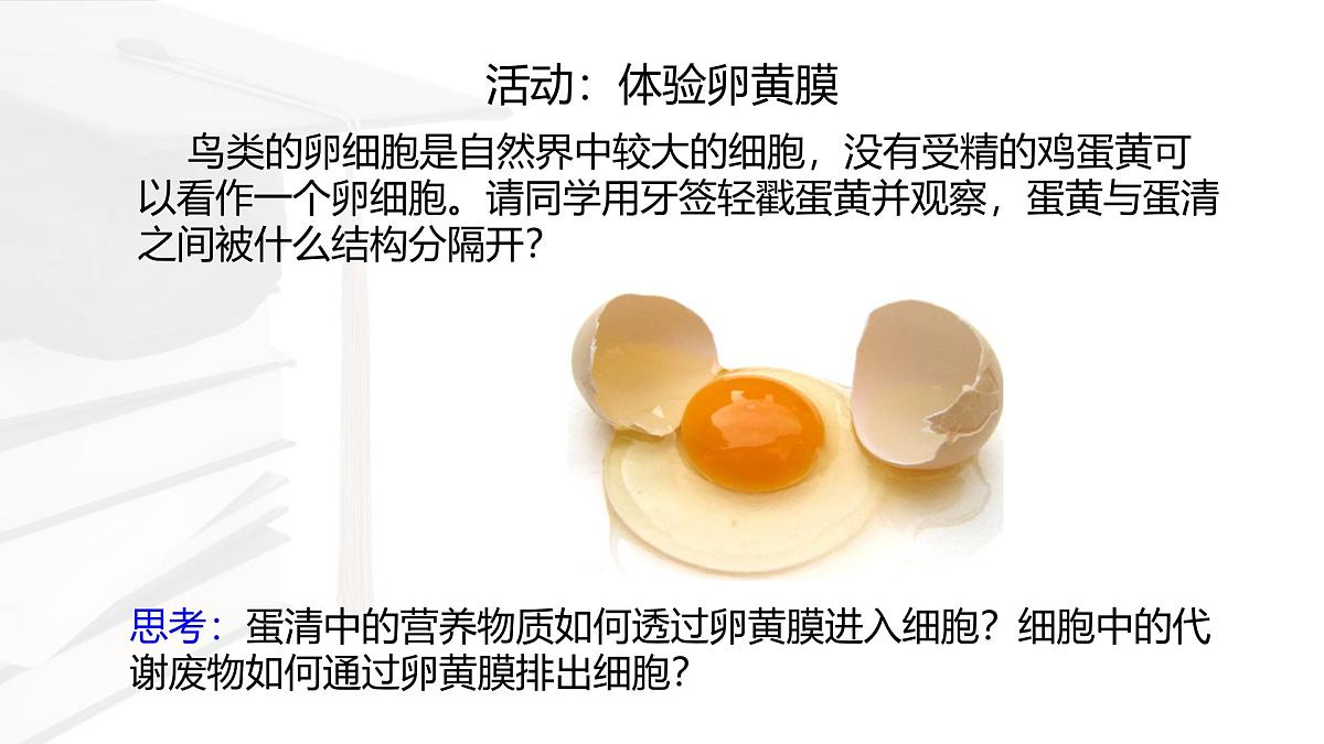 人教版高中生物必修1 3-1《 细胞膜的结构和功能 》课件第2页