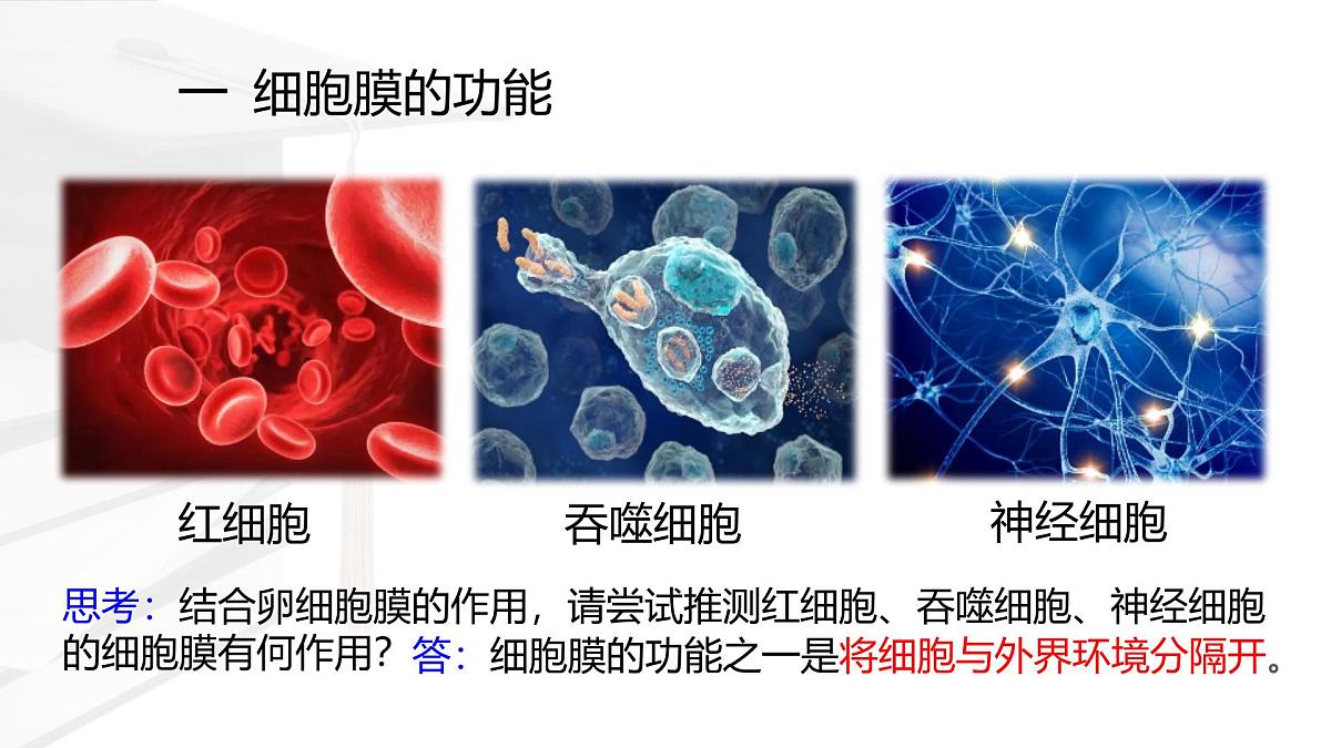 人教版高中生物必修1 3-1《 细胞膜的结构和功能 》课件第3页