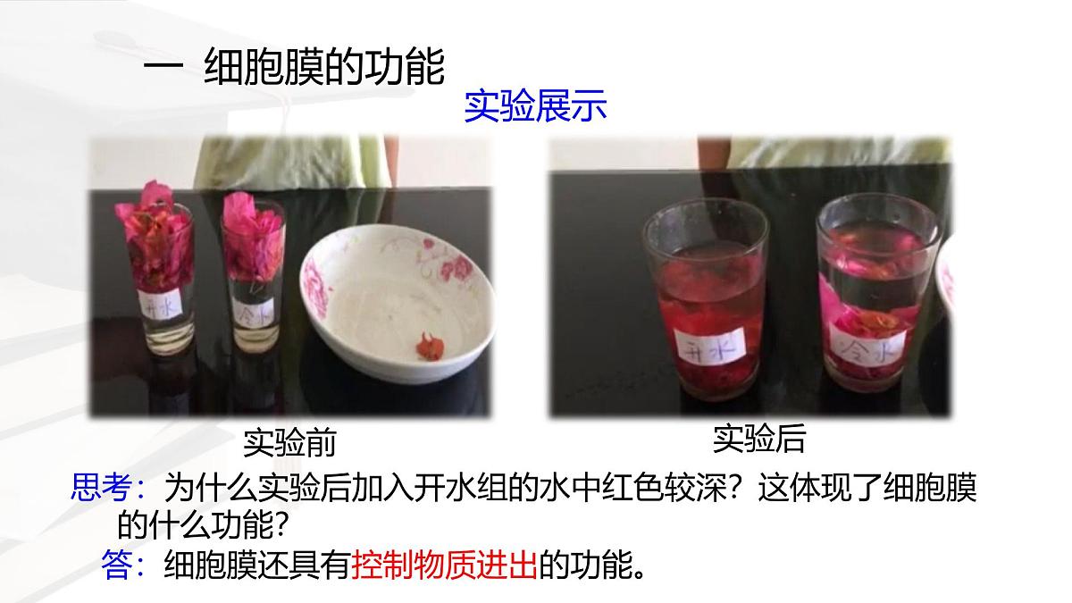 人教版高中生物必修1 3-1《 细胞膜的结构和功能 》课件第4页