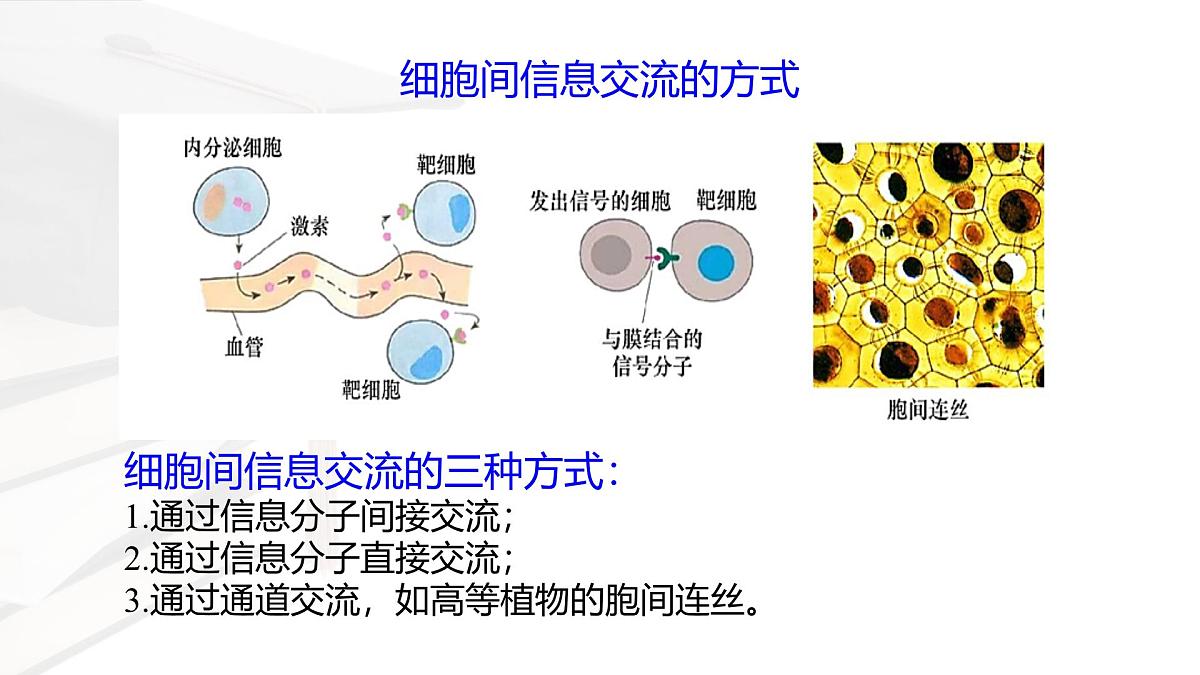 人教版高中生物必修1 3-1《 细胞膜的结构和功能 》课件第6页