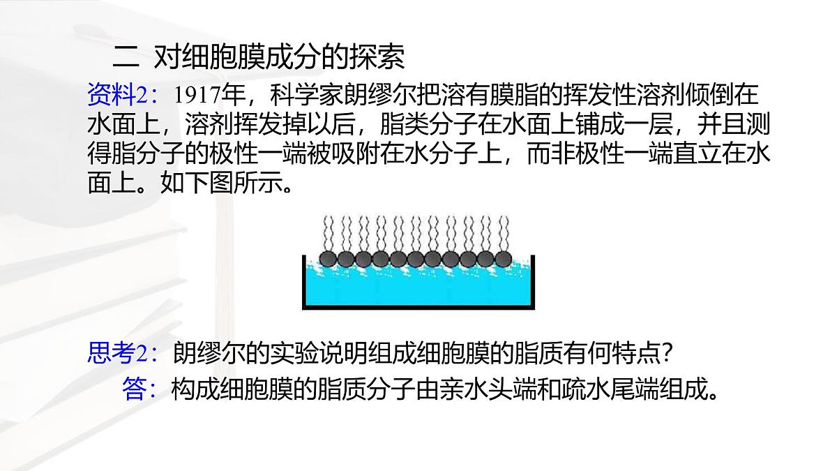 人教版高中生物必修1 3-1《 细胞膜的结构和功能 》课件第8页