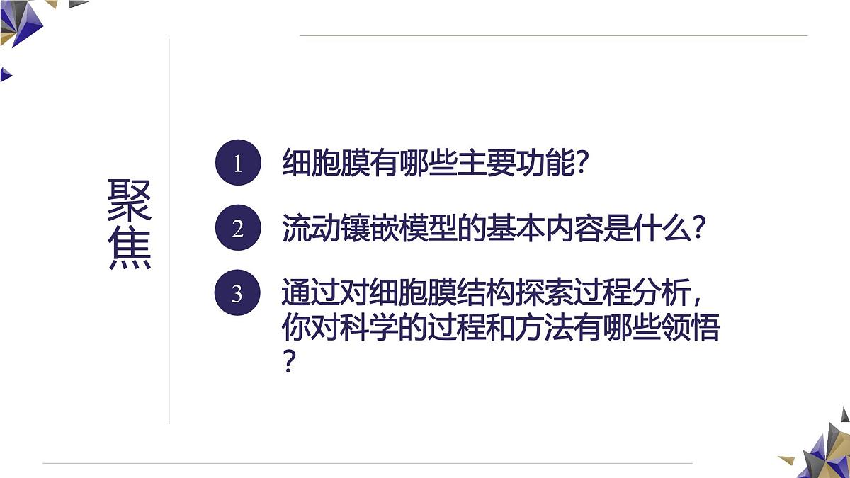 人教版高中生物必修1 3-1《 细胞膜的结构和功能》课件第4页