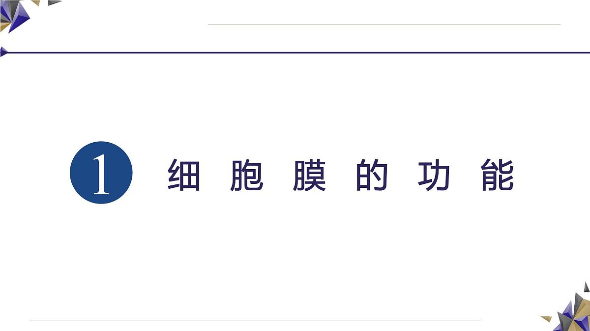 人教版高中生物必修1 3-1《 细胞膜的结构和功能》课件第7页