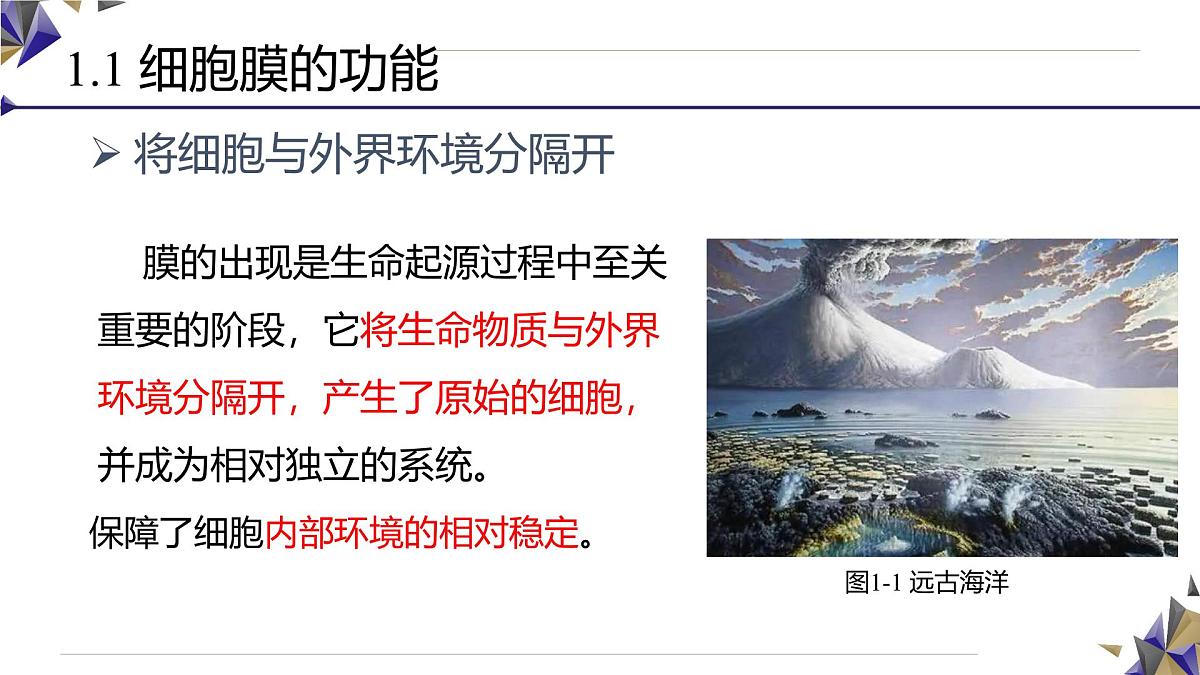 人教版高中生物必修1 3-1《 细胞膜的结构和功能》课件第8页