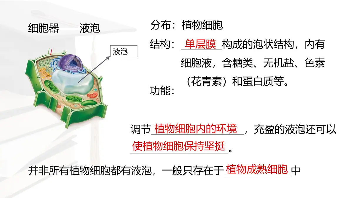 人教版高中生物必修1 3-2《细胞器之间的分工合作 》课时2 课件第8页