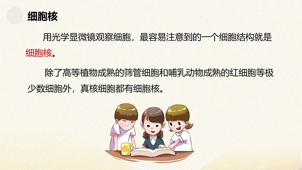 人教版高中生物必修1 3-3《细胞核的结构和功能》课件第4页