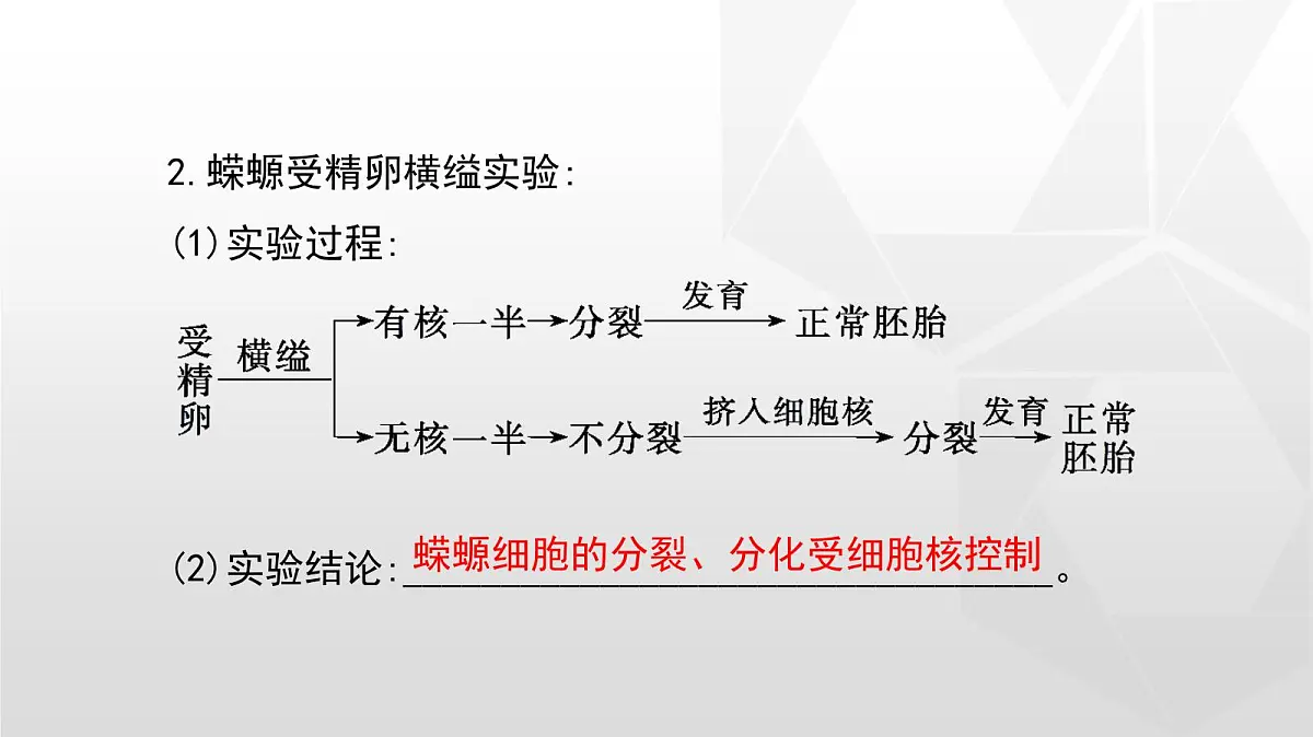 人教版高中生物必修1 3-3《细胞核的结构和功能》课件第4页