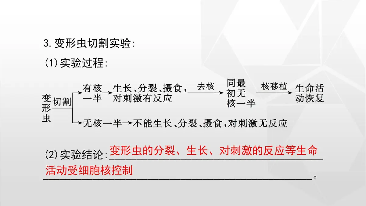 人教版高中生物必修1 3-3《细胞核的结构和功能》课件第5页