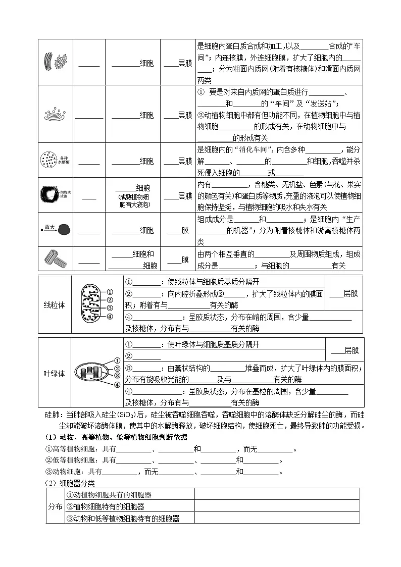 人教版高中生物必修1第3章 细胞的基本结构-必背知识清单第3页