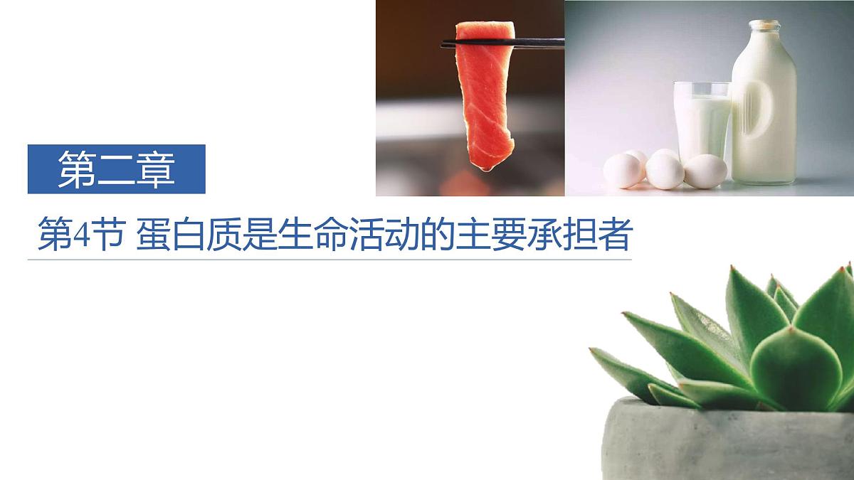 人教版高中生物必修1 2-4《蛋白质是生命活动的主要承担者》课时1 教学课件第1页