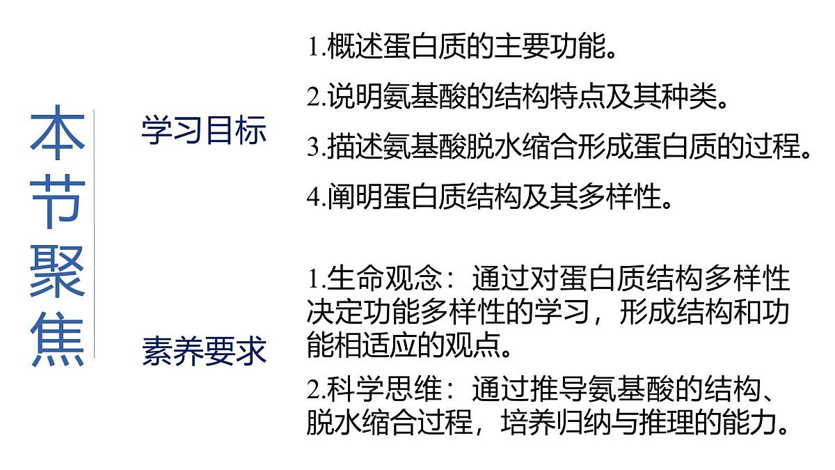 人教版高中生物必修1 2-4《蛋白质是生命活动的主要承担者》课时1 教学课件第2页