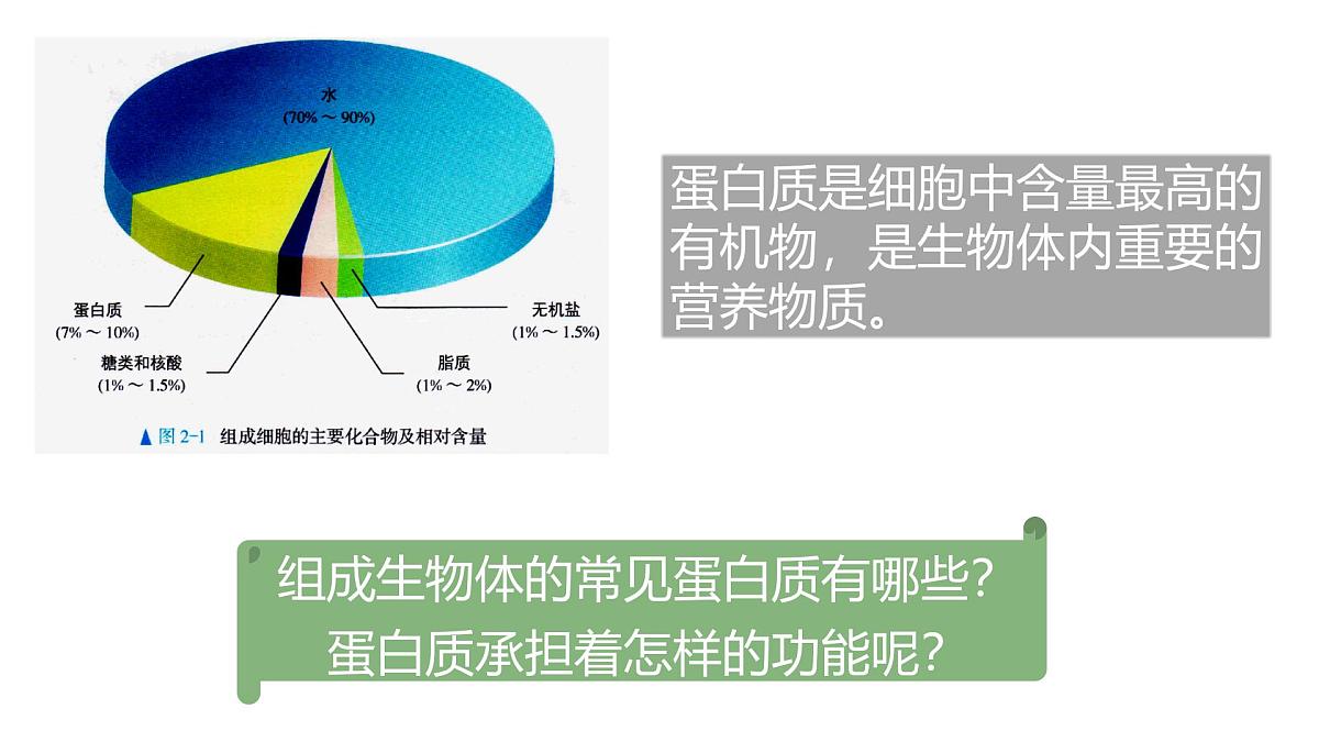 人教版高中生物必修1 2-4《蛋白质是生命活动的主要承担者》课时1 教学课件第3页