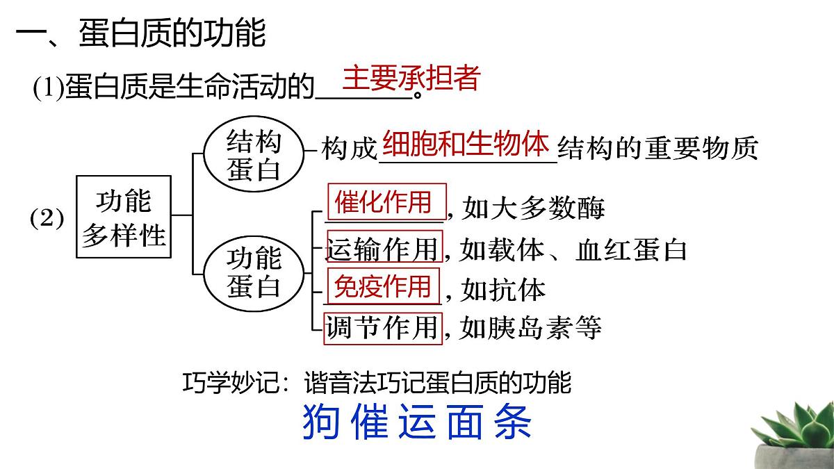 人教版高中生物必修1 2-4《蛋白质是生命活动的主要承担者》课时1 教学课件第6页