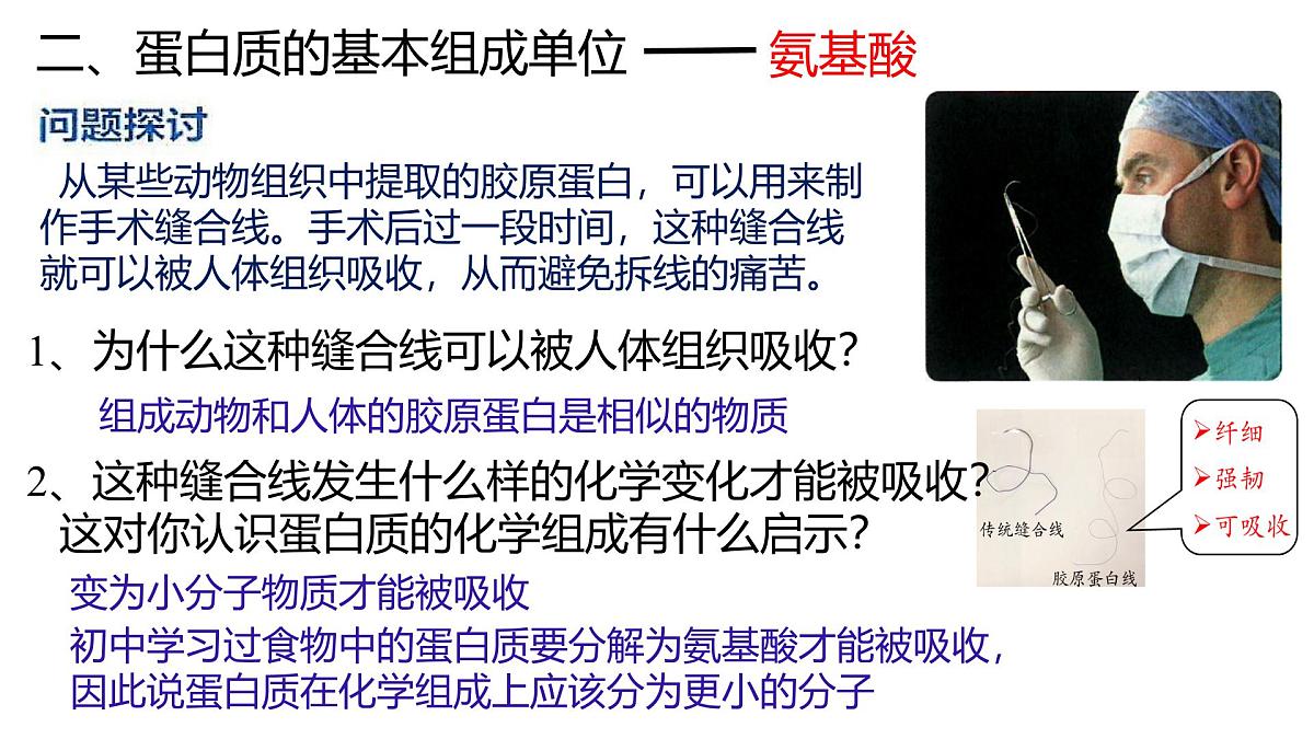 人教版高中生物必修1 2-4《蛋白质是生命活动的主要承担者》课时1 教学课件第7页