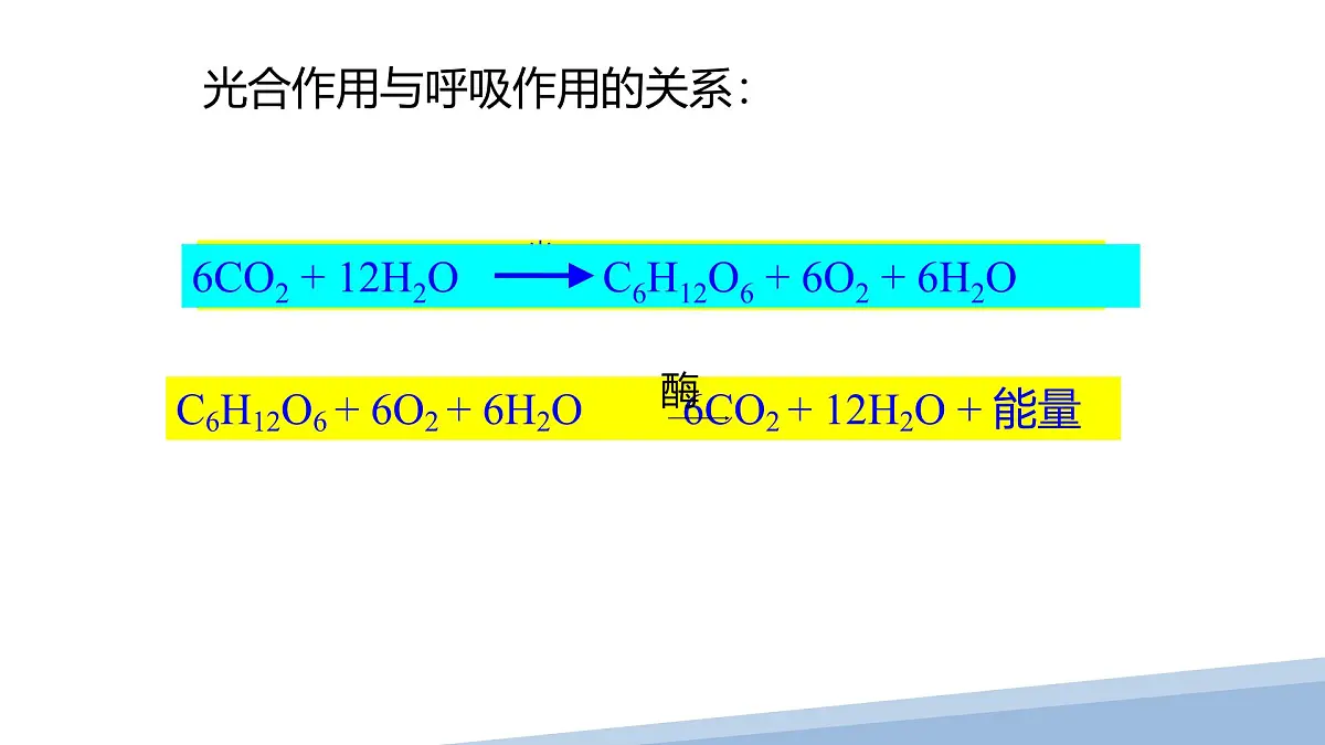 人教版高中生物必修1第5章 光合作用与呼吸作用专题 复习课件第2页