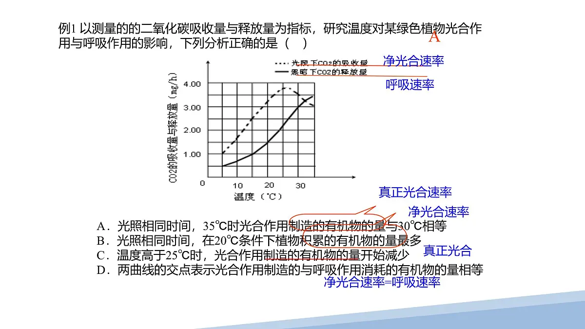 人教版高中生物必修1第5章 光合作用与呼吸作用专题 复习课件第4页