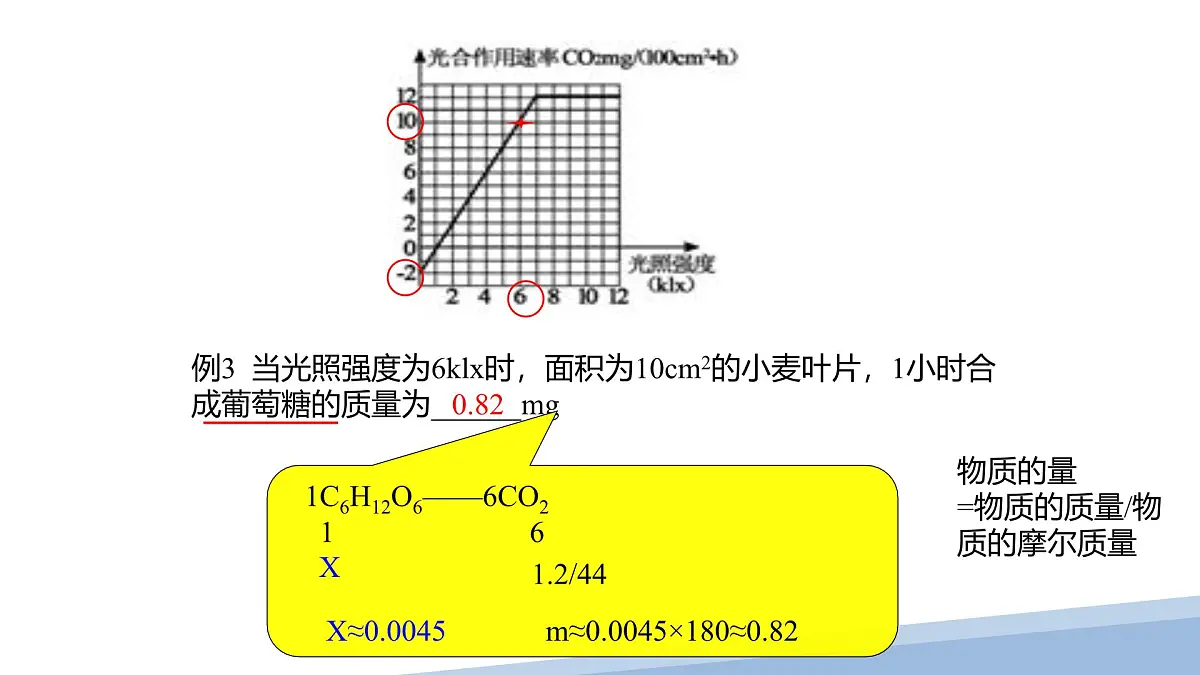人教版高中生物必修1第5章 光合作用与呼吸作用专题 复习课件第6页