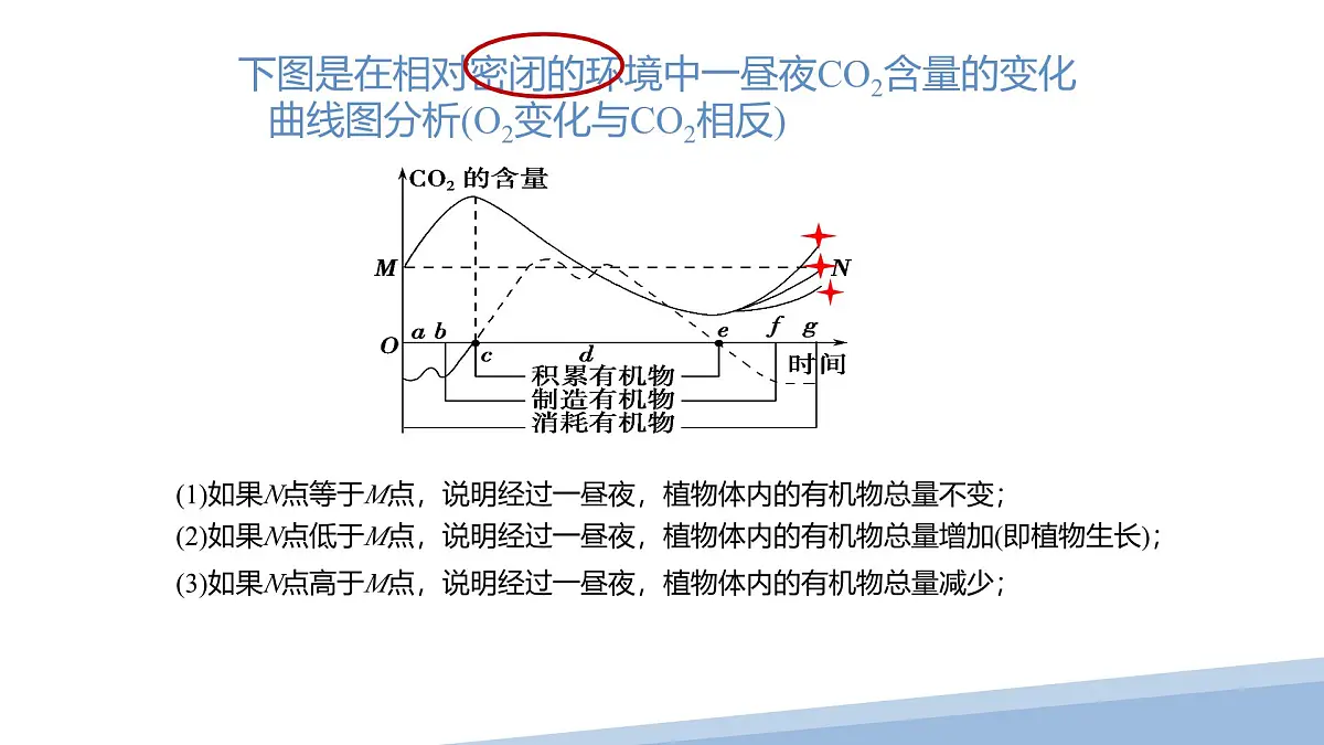 人教版高中生物必修1第5章 光合作用与呼吸作用专题 复习课件第7页