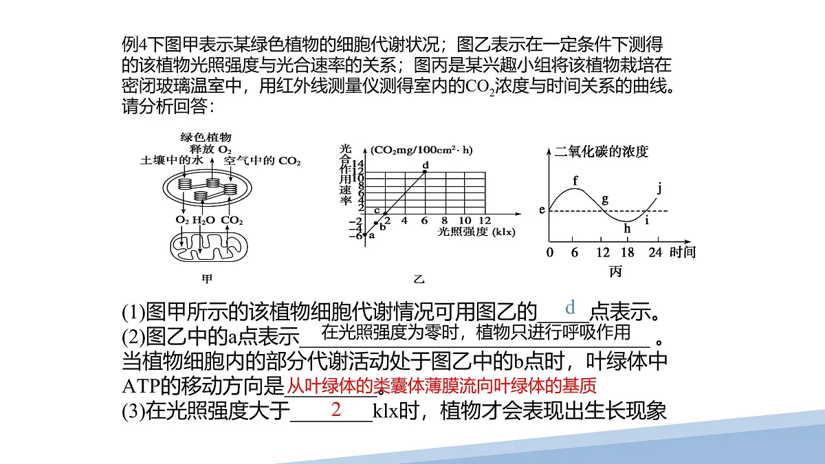 人教版高中生物必修1第5章 光合作用与呼吸作用专题 复习课件第8页
