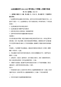 【生物】山东省德州市2024-2025学年高二下学期4月期中考试（解析版）