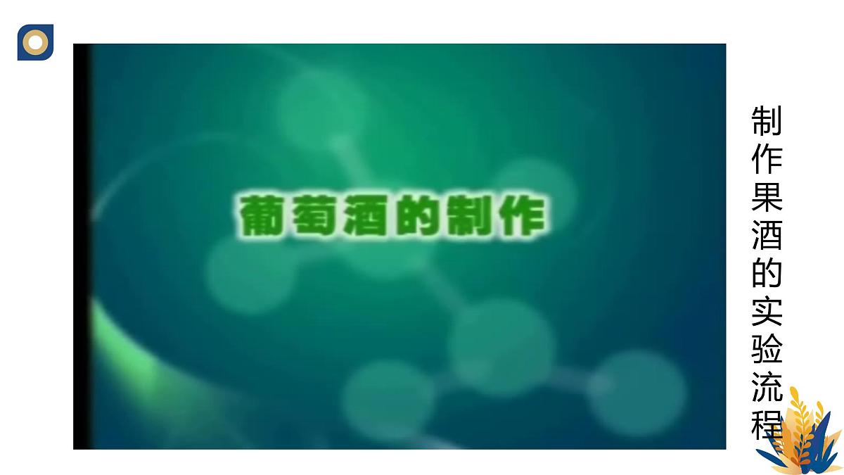 人教版高中生物选修3 1-1《传统发酵技术的应用(第2课时)》教学课件2第4页